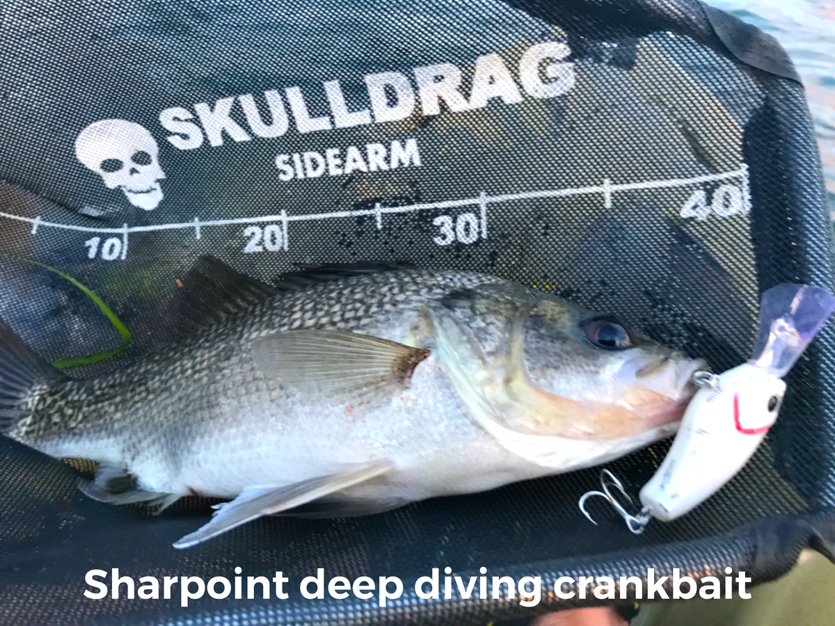 Sharpoint Jigheads Deep Diving Crankbaits - Review – Skulldrag Industries