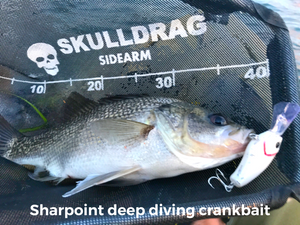 Sharpoint Jigheads Deep Diving Crankbaits - Review – Skulldrag