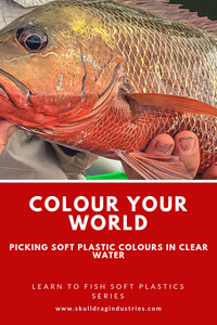 Colour your world-selecting your colour for use in clear water