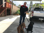 TraySafe double walk dog leads - Skulldrag Industries