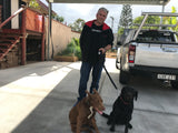 TraySafe double walk dog leads - Skulldrag Industries