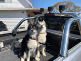 Tray Safe T Double Trouble - Ute tray safety restraint- Secure both your dogs to the Ute Tray - Skulldrag Industries