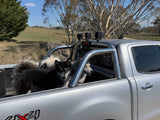 Purple TraySafe T Double Trouble - Ute tray safety restraint- Secure both your dogs to the Ute Tray - Skulldrag Industries