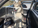 Pink TraySafe T Double Trouble - Ute tray safety restraint- Secure both your dogs to the Ute Tray - Skulldrag Industries